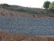 DSC00928