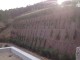 IMG-20130327-WA0005