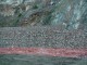 DSC01016